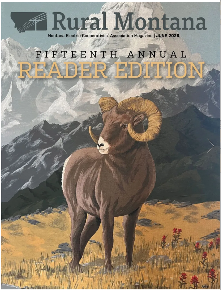 Readers Edition