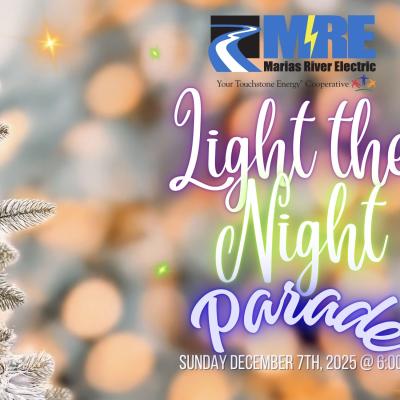Light the Night Parade