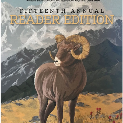 Readers Edition